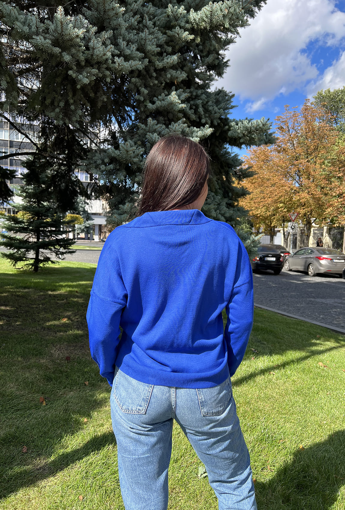 Светр поло електрик — 227199. Maritel. Зображення 1 Светр поло електрик — 227199. Maritel. Зображення 1