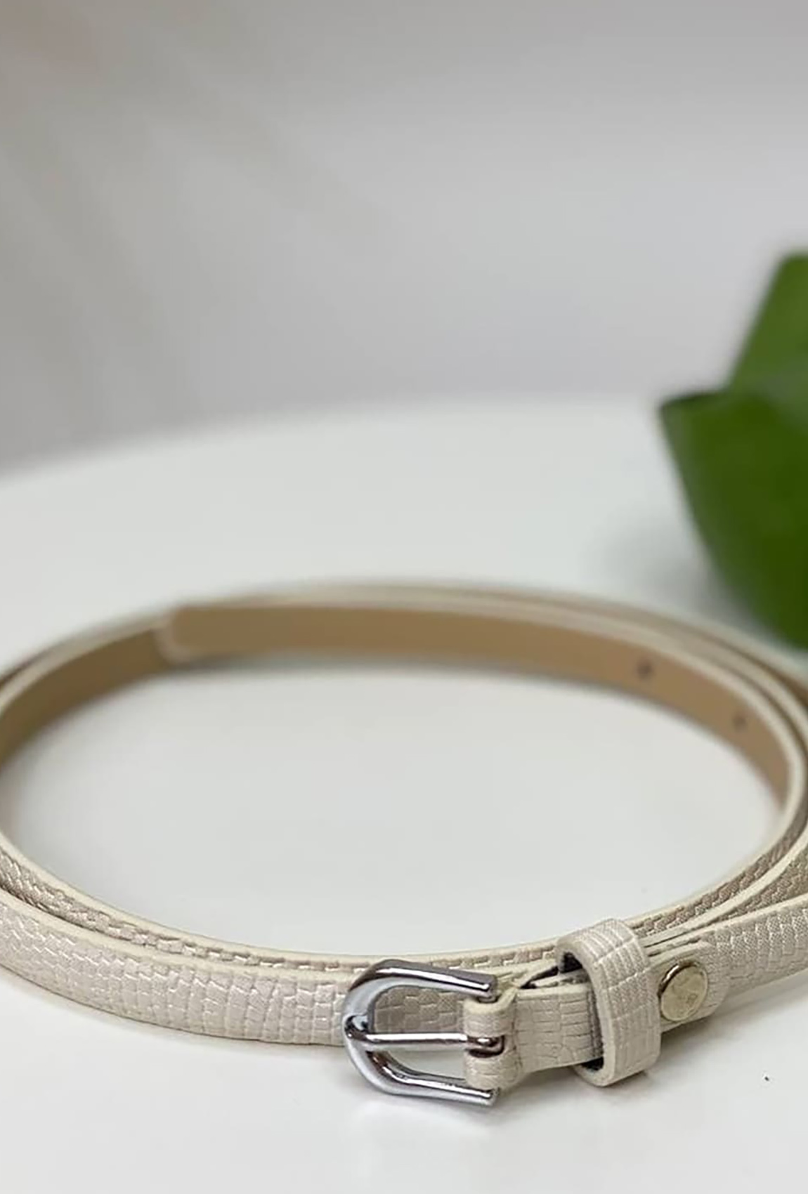 Молочный мояс змея — 712882. Maritel Молочный мояс змея — 712882. Maritel