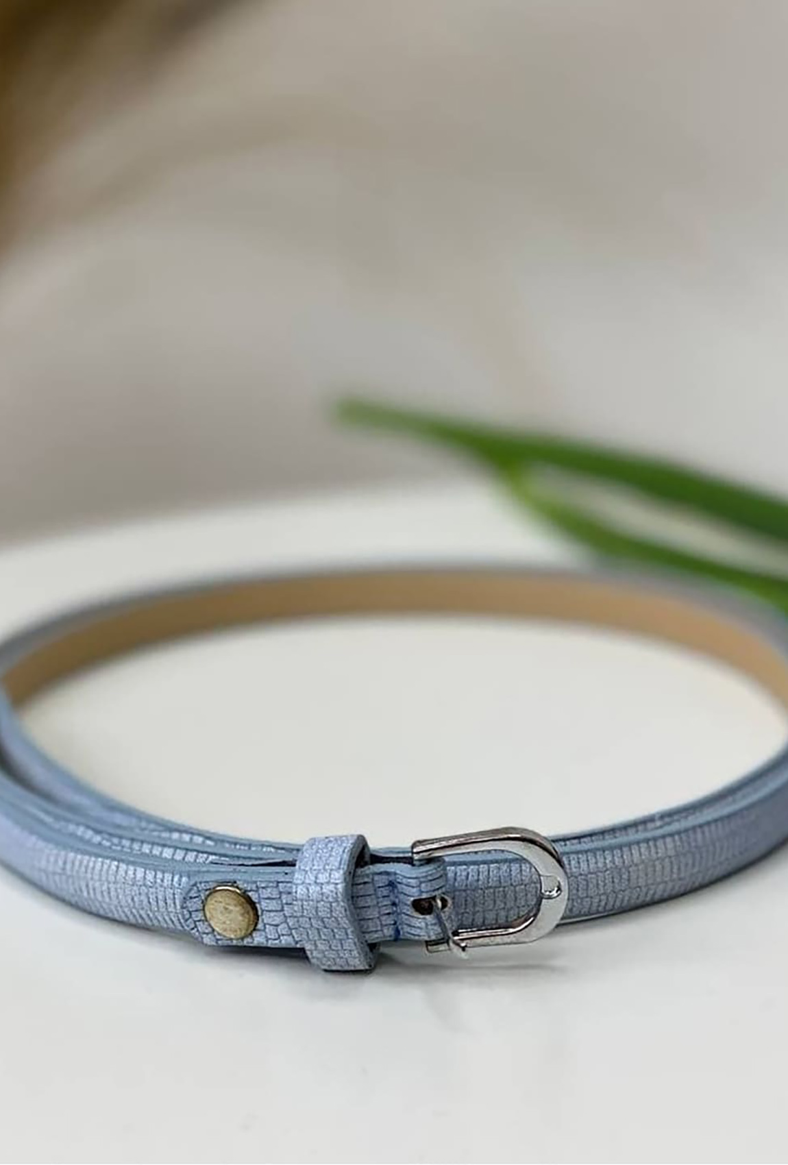 Блакитний пояс змія  —  120898. Maritel Блакитний пояс змія  —  120898. Maritel