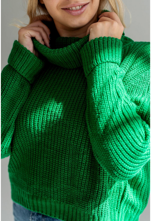 Зеленый укороченный свитер с хомутом — 985828. Maritel. Изображенние 1 Зеленый укороченный свитер с хомутом — 985828. Maritel. Изображенние 1